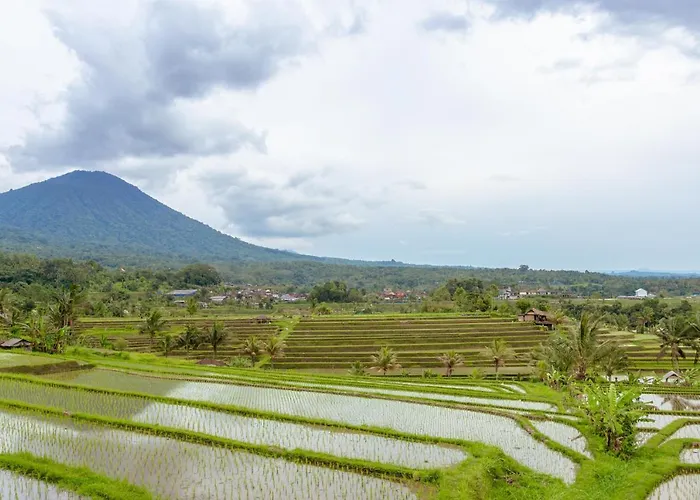Bhuana Agung And Restaurant Alojamento de Acomodação e Pequeno-almoço 3*
