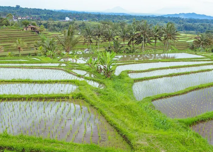 Bhuana Agung And Restaurant Alojamento de Acomodação e Pequeno-almoço