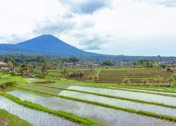 Bhuana Agung And Restaurant ベッド・アンド・ブレックファスト