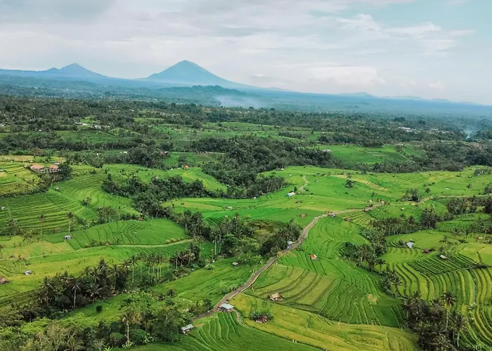 Alojamento de Acomodação e Pequeno-almoço Bhuana Agung And Restaurant Jatiluwih
