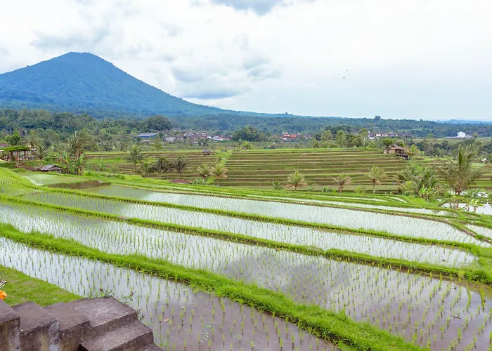 Bhuana Agung And Restaurant 3* Jatiluwih