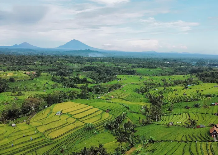 Bhuana Agung And Restaurant 3* Jatiluwih